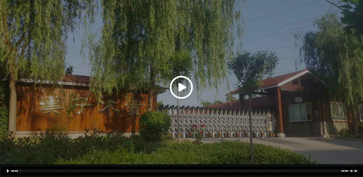 开云官方端网站登录入口-开云(中国)